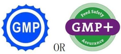 中國(guó)GMP與cGMP比較，淺談兩者的區(qū)別和要求側(cè)重點(diǎn)