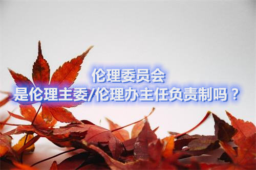 倫理委員會是倫理主委/倫理辦主任負責制嗎？