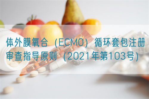體外膜氧合（ECMO）循環套包注冊審查指導原則（2021年第103號）(圖1)