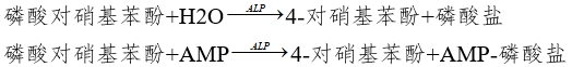 堿性磷酸酶測(cè)定試劑注冊(cè)審查指導(dǎo)原則(2024修訂版)(2024年第19號(hào))(圖1) 堿性磷酸酶測(cè)定試劑注冊(cè)審查指導(dǎo)原則(2024修訂版)(2024年第19號(hào))(圖1)