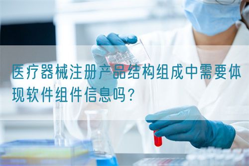 醫療器械注冊產品結構組成中需要體現軟件組件信息嗎？