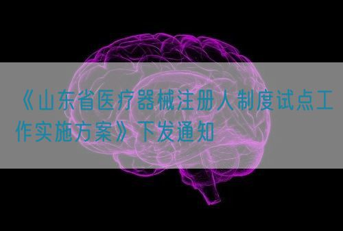 《山東省醫療器械注冊人制度試點工作實施方案》下發通知(圖1)