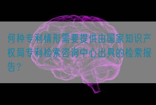 何種專利情形需要提供由國家知識產權局專利檢索咨詢中心出具的檢索報告？(圖1)