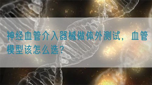 神經血管介入器械做體外測試，血管模型該怎么選？(圖1)