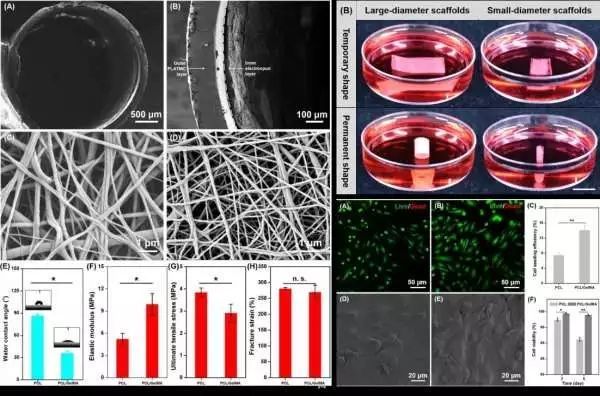 生物相容性是什么？如何準(zhǔn)備生物相容性檢測(cè)的樣品？(圖2)