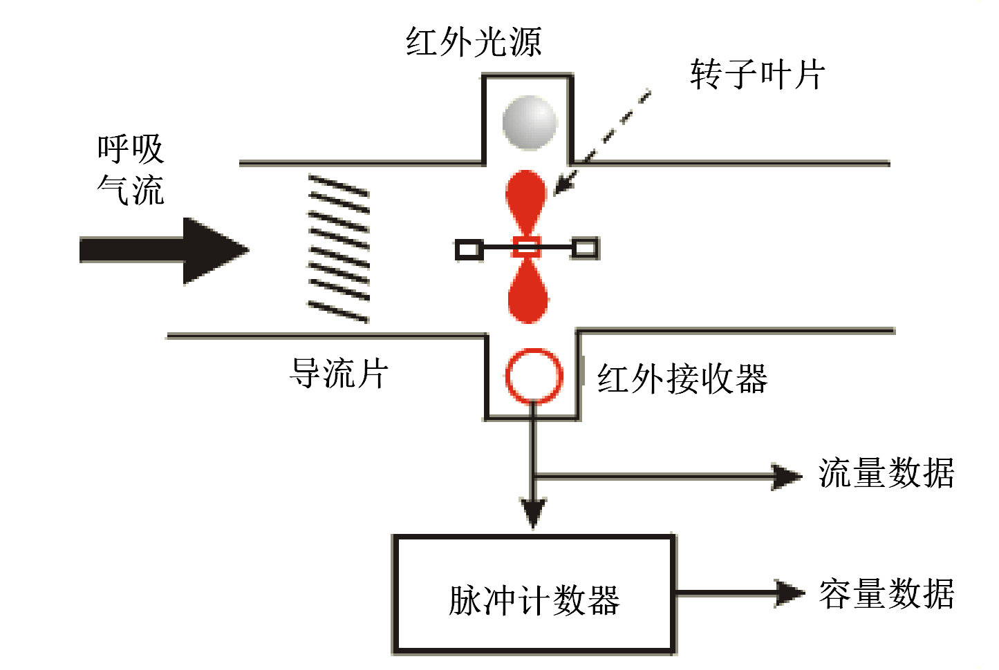 肺通氣功能測試產品注冊技術審查指導原則（2020年第39號）(圖4)