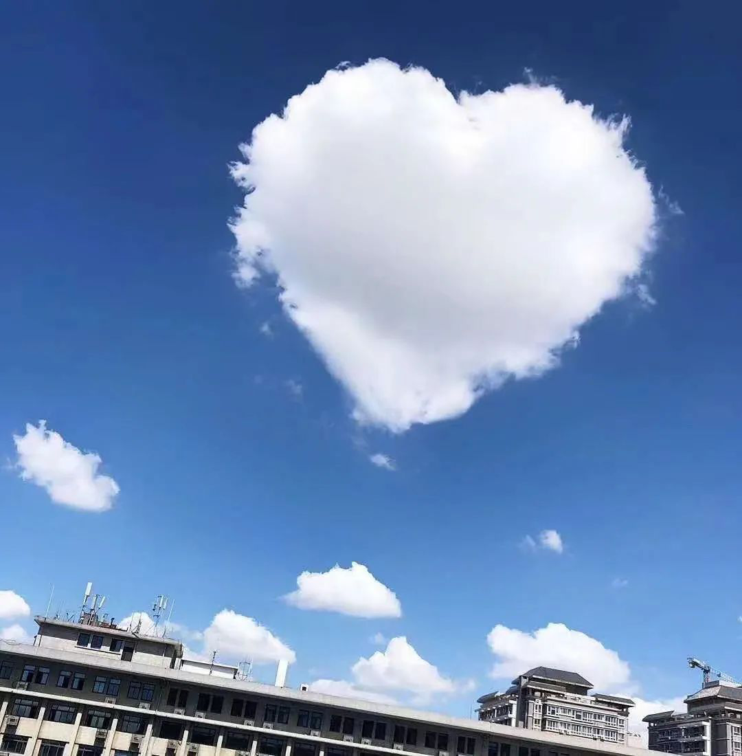 臨床數據管理員DM工作崗位介紹(圖3)
