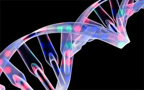 生物相容性是什么意思？怎么判斷醫(yī)療器械要做哪些生物相容性測試項(xiàng)目？